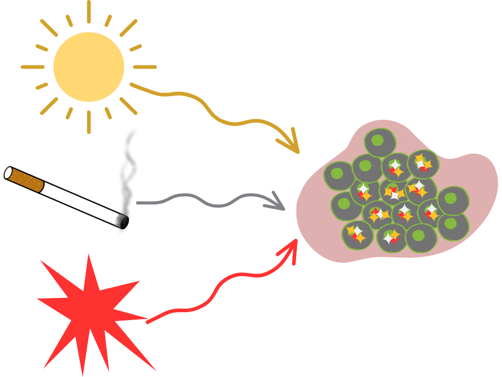 A graphic showing the sun, a cigarette, and an unknown mutational process all contributing to the mutational composition of the tumor.